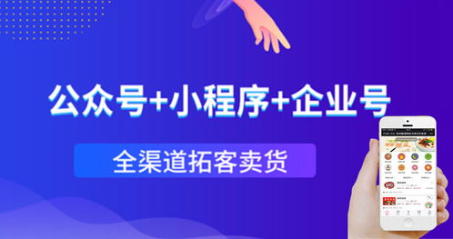 青岛小程序开发公众号开发 本地定制