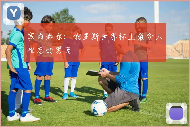 塞内加尔：俄罗斯世界杯上最令人难忘的黑马