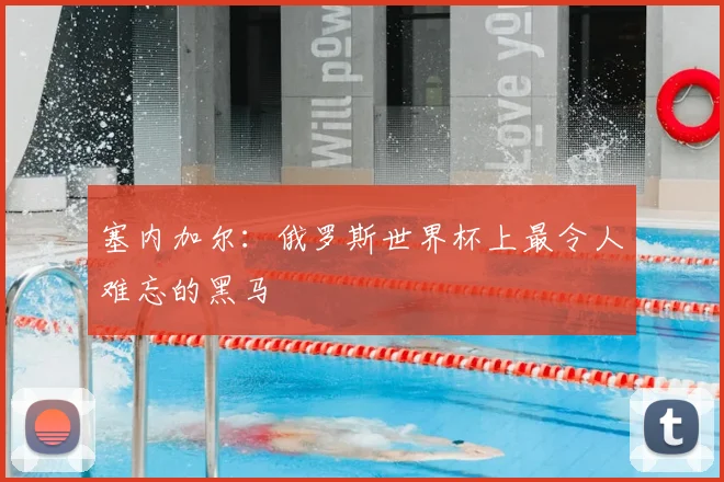 塞内加尔：俄罗斯世界杯上最令人难忘的黑马