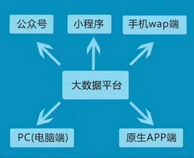 erp erp的分类